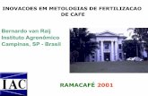 RAMACAFÉ - Home - RAMACAFE 2011 · Gessagem para caf é Aplicar calcário ...