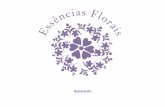 A natureza em você - essenciasflorais.com.br · Essências Florais –Desde 1991 O que são essências florais? As essências florais são preparados líquidos naturais, produzidos