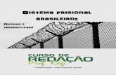 Sistema prisional brasileiro - cursorogi.com.br · 4 5. O excesso de prisões provisórias Dos mais de 600 mil presos no Brasil hoje, cerca de 250 mil, ou 40% do total, são presos