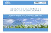 Gestão de Emissões de Gases de Efeito Estufa especificado na norma ABNT NBR ISO 14064-2 (Especificações e orientação a projetos para quantificação, monitoramento e elaboração