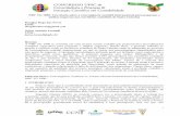 NBC TG 1000: Um estudo sobre a convergência contábil ...dvl.ccn.ufsc.br/congresso/anais/5CCF/20140425131748.pdf · normas brasileiras de contabilidade ao padrão internacional,