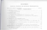 MANUAL PRÁTICO DE ROTINAS TRABALHISTAS PARTE I …cobip.pgr.mpf.mp.br/boletins-eletronicos/alerta-bibliografico/... · manual prÁtico de rotinas trabalhistas siglas e abreviaturas