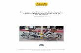 Contagem de Bicicletas Estacionadas Leblon, Ipanema e ... · Levantamento de bicicletas estacionadas nos bairros Leblon, Ipanema e Copacabana. ... visando melhorar a qualidade de