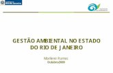 Gestão Ambiental no Estado do Rio de Janeiro - tce.rj.gov.br · Compensações Ambientais: R$ 106.262.345,47. FISCALIZAÇÃO 11 DOCUMENTOS EMITIDOS 2006 2007 2008 NOTIFICAÇÃO 4.035