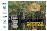 Ecossistema: Manguezal - biologia.seed.pr.gov.br · —marinha". Trata-se de um ecossistema es- ... Os manguezais são considerados "berço da Vida marinha" por ... alimenta-se de