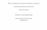 Recursos Minerais no Brasil: Problemas e Desafios Academia ...abc.org.br/IMG/pdf/doc-4930.pdf · Recursos Minerais no Brasil: Problemas e Desafios Academia Brasileira de Ciências