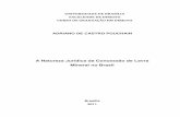 A Natureza Jurídica da Concessão de Lavra Mineral no Brasilbdm.unb.br/bitstream/10483/3552/1/2011_AdrianodeCastroPouchain.pdf · recursos minerais e das formas pelas quais ocorreu