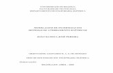 MODELAGEM DE INCERTEZAS EM SISTEMAS DE ATERRAMENTO ...livros01.livrosgratis.com.br/cp065966.pdf · ii FICHA CATALOGRÁFICA PEREIRA, JOÃO BATISTA JOSÉ Modelagem de Incertezas em