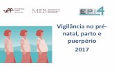 Vigilância no pré- natal, parto e puerpério 2017 - EPI uffepi.uff.br/wp-content/uploads/2013/08/AULA-VIG-MAT-2017.pdf · Exame de HIV no PN – pelo menos 1 - 86,6% e - 2 exames