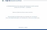 A PROBLEMÁTICA DA ÁGUA EM ANGOLA (1975-2010): CASO …ºao Versao... · necessidades de consumo da população não são plenamente ... o enfoque da investigação será no abastecimento