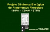 Projeto Dinâmica Biológica de Fragmentos Florestais · O Grupo de Pesquisa PDBFF desde 1979 José Luís Camargo & Alberto Vicentini Hoje, conta com: •30 pesquisadores (diversas