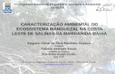 CARACTERIZAÇÃO AMBIENTAL DO ECOSSISTEMA … · Brasil, no estado da Bahia, entre as latitudes 12°50’45” e 12°57’30” S e longitudes ... • Hidrografia – Sub-Bacia do