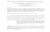 O Universo de Tim Burton e sua Relação com a Infância ...intercom.org.br/papers/nacionais/2013/resumos/r8-0589-1.pdf · Análise do Filme “A Noiva Cadáver ... 2002 p. 02), como