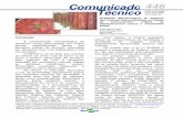 Cot 446 - infoteca.cnptia.embrapa.br · No Brasil, a Instrução Normativa n.º 22, de 31/07/2000 regulamenta quanto ... Abastecimento (MAPA), toda a carne ... corioretinite, levando