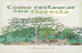 Como restaurar sua f loresta - conservation.org · entender que a natureza fornece os serviços ambientais, que são os benefícios es- senciais à qualidade de vida e à sobrevivência