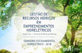 GESTÃO DE RECURSOS HÍDRICOS EM …viex-americas.com/2016/wp-content/uploads/2018/04/Joana-Azurit.pdf · proteção dos recursos hídricos por meio do princípio da gestão por bacia