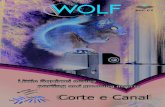 Corte e Canal - Wolf Brasil | Ferramentas para Usinagem · Série de insertos Little squirrel para canal e torneamento Insertos de Canal e Torneamento Aresta simples Aresta dupla