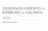 EMBRIÃO DE GALINHA - ce3.igc.gulbenkian.ptce3.igc.gulbenkian.pt/wp-content/uploads/2016/03/Embriao-de-pinto... · A Biologia do Desenvolvimento é uma disciplina que estuda os mecanismos