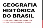 GEOGRAFIA HISTÓRICA DO BRASIL - ligiatavares.com · HISTÓRIA GEOGRÁFICA DA ECONOMIA MUNDO ... 1. zonas de povoamento agrário abastecidas pelo tráfico de escravos africanos; 2.