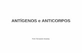 ANTÍGENOS e ANTICORPOS · EPÍTOPO • Epítopo ou determinante antigênico : Sítio do Ag com o qual os anticorpos e os TcR reagem. – lineares – conformacionais