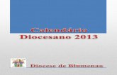Diocese de Blumenau · 2013 – Ano da Juventude ... Albertina durante o mês de Janeiro em preparação à Jornada Mundial da Juventude na cidade do Rio de Janeiro em julho; A Campanha