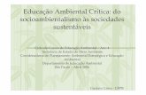 Educação Ambiental Crítica: do sustentáveisarquivos.ambiente.sp.gov.br/cea/2011/12/Gustavo_Lima.pdf · e) o ambiental como um campo discursivo ... contribuição epistemológica