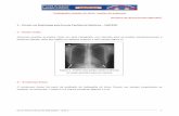 Radiografia simples do tórax: noções de anatomia Gustavo ...xa.yimg.com/kq/groups/18209225/956316636/name/radiografia+torácica... · 5 – Cúpulas diafragmáticas e seios costofrênicos