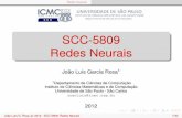 SCC-5809 Redes Neurais - wiki.icmc.usp.brwiki.icmc.usp.br/images/7/7c/SCC5809Cap0_2012A.pdf · desenvolvimento e os resultados obtidos na solução de problemas complexos (visão,