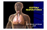 Prof Sérvulo Luiz Borges UFJF³rio.pdf · • Parte da anatomia que estuda as vísceras. SISTEMA RESPIRATÓRIO • Conjunto de órgãos que transportam o ar para dentro e para fora