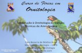Introdução à Ornitologia de Campo: Técnicas de Amostragem · Pontos de Escuta IPA = n(i) / PE IPA = Índice Pontual de Abundância; n(i) = número de contatos da espécie i; PE