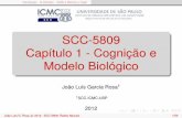 SCC-5809 Capítulo 1 - Cognição e Modelo Biológicowiki.icmc.usp.br/images/e/e3/SCC5809Cap1_2012A.pdf · João Luís Garcia Rosa1 1SCC-ICMC-USP 2012 João Luís G. Rosa c 2012 -