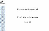 Economia Industrial Prof. Marcelo Matos · Aula 18 . A Empresa Transnacional e Reorganização das estruturas produtivas mundiais Gonçalves (K&H 2013, cap17); ... •Agente dos processos