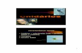 Características Gerais · cnidarios Author: Lyander Created Date: 10/2/2012 12:18:41 AM ...