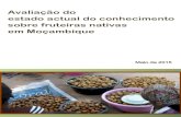 Avaliação do estado actual do conhecimento sobre fruteiras … · 3 FICHA TÉCNICA Título: Avaliação do Estado Actual do Conhecimento sobre Fruteiras Nativas em Moçambique Autores: