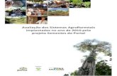Avaliação dos Sistemas Agroflorestais implantados no ano ...sementesdoportal.com.br/monitoramento/pdf/rel_2010.pdf · O ano de 2010 marcou por ser o primeiro ano do projeto Sementes