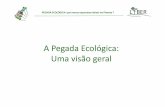 A Pegada Ecol³gica: Uma geral - ceap.br .ma ferramenta e contabilidade ecol³gica ... PEGADA ECOL“GICA: