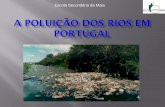 Escola Secundária da Maia - snirh.apambiente.pt · Este trabalho irá falar sobre a poluição de alguns rios de Portugal bem como as consequências dessa poluição.