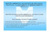 GESTÃO AMBIENTAL NO ESTADO DE SÃO PAULO: …arquivos.ambiente.sp.gov.br/cea/2011/12/Dorothy.pdf · técnica (ABNT/NBR 12212/92 - Projeto e NBR/12244/92 - Construção) * Fonte:
