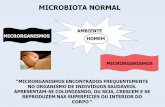 MICROBIOTA NORMAL - xa.yimg.comxa.yimg.com/kq/groups/39215130/944109544/name/aula de microbiota... · SOBRE DETERMINADO SÍTIO, ... e Helicobacterpylori(ulcera péptica). FATORES