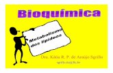 Dra. Kátia R. P. de Araújo Sgrillosgrillo.net/katia/15bioquimica_metabolismo_de_lipideos.pdf · com a hidrólise produzindo ácidos graxos e glicerol. ... pessoa com excesso de