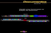 Documentos ISSN 1518-4277 180 Dezembro, 2015ainfo.cnptia.embrapa.br/digital/bitstream/item/146575/1/doc-180.pdf · TALEN uma ferramenta na edição de genomas / Maria ... as técnicas