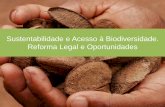 Sustentabilidade e Acesso à Biodiversidade. Reforma Legal ... · Kuhnlein, H.V., Erasmus, B. & Spigelski, D. (2009) - slide de Barbara Burlingame, FAO. 38 53 112 126 420 ... sobre