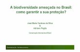A biodiversidade ameaçada no Brasil: como garantir a sua ... · Slide 1 • Unidades de Conservação ... O que é um corredor de biodiversidade ... para desenvolvimento de pesquisas