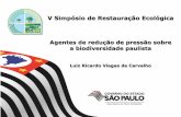 V Simpósio de Restauração Ecológicabotanica.sp.gov.br/files/2013/11/Luiz-Ricardo-Viegas-de-Carvalho.pdf · Agentes de redução de pressão sobre a biodiversidade paulista _____