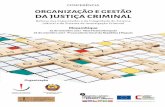 ORGANIZAÇÃO E GESTÃO DA JUSTIÇA CRIMINAL · Gabinete de Informação Financeira de Moçambique – GIFiM Serviços de Investigação Criminal Gabinete do Ordenador Nacional –