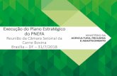 Execução do Plano Estratégico do PNEFA - agricultura.gov.br · BANVACO –Banco regional de antígenos de febre aftosa Informação ao Panaftosa sobre a regulamentação e composição