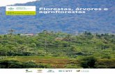 Florestas, árvores e agroflorestas - cifor.org · de satélite, mapeamento de alta tecnologia da vegetação natural, além do conhecimento local de atributos arbóreos, permitem