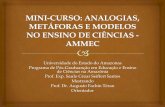 Universidade do Estado do Amazonas Prof. Exp. Saulo Cézar ... · Vejamos a história do semeador contextualizada para os professores Modelos Mentais As pessoas pensam em Modelos
