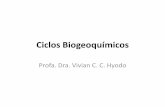 Ciclos Biogeoquímicos · Ciclos Biogeoquímicos •Elementos essenciais à vida •Meio inanimado organismos vivos meio original •+ 40 elementos compostos orgânicos