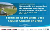 Formas de Apoyo Estatal y los Seguros Agrícolas en Brasil · ZONIFICACIÓN AGRÍCOLA ... Crédito rural - Requisito de seguro en situaciones de riesgo ... Slide 1 Author: Jo dete